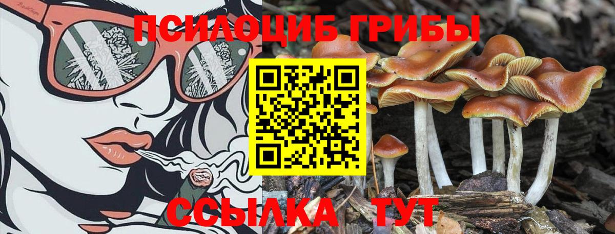 Нарткала  Псилоцибиновые грибы MAGIC MUSHROOMS  купить закладку  Вход с VPN 
