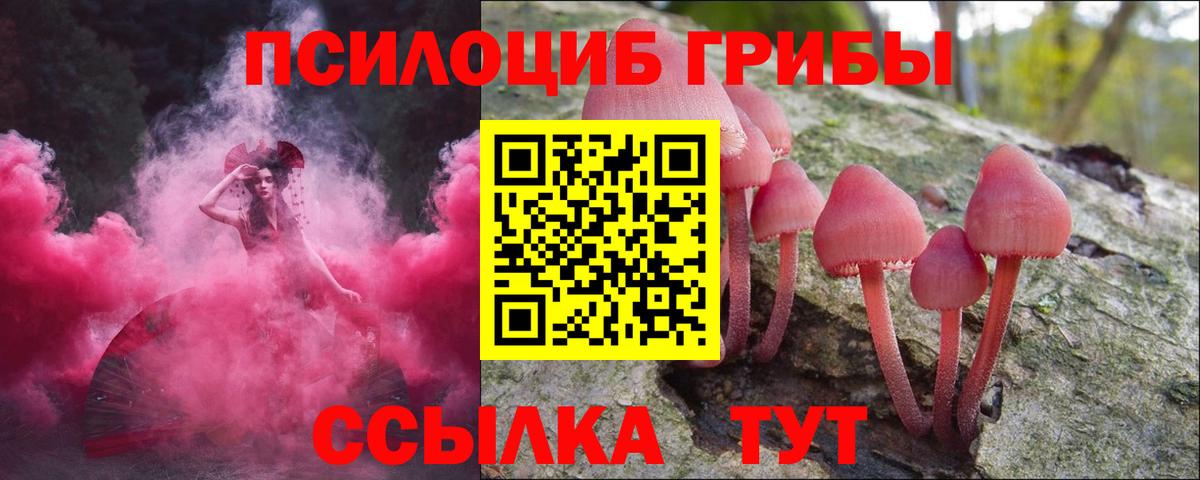 Галлюциногенные грибы Psilocybine cubensis Нарткала