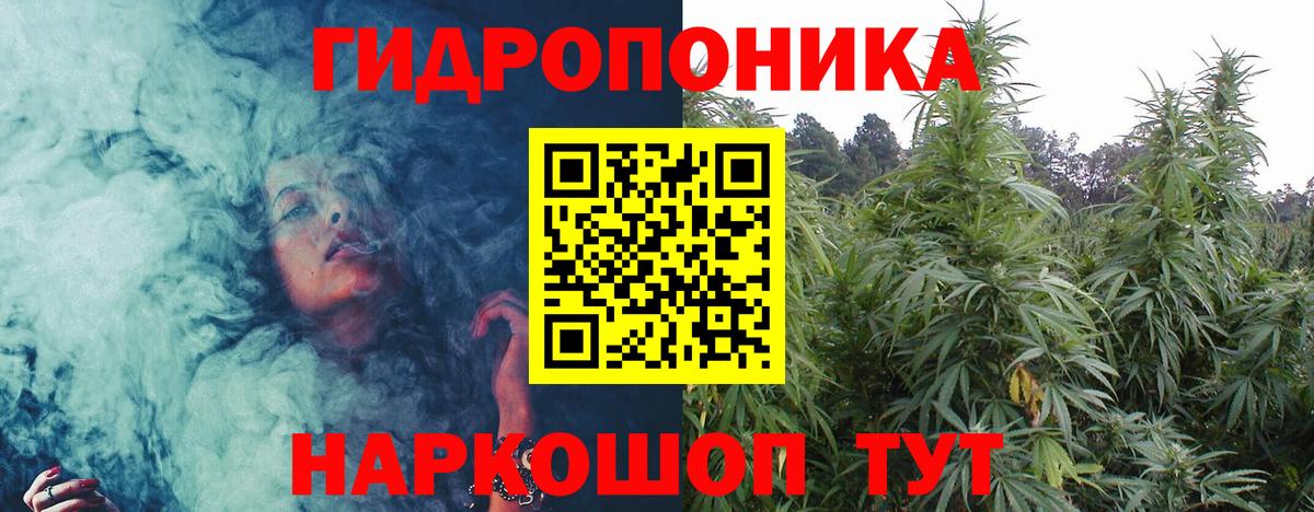 Каннабис планчик  Вход с VPN  Марихуана Bruce Banner  Нарткала 
